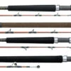 Daiwa V.I.P. A Saltwater Rods -Fishing Promotion Store daiwa vip a saltwater rods 06467.1651076951