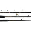 Penn Ally Boat Rods -Fishing Promotion Store penn ally boat rods 51859.1651033333