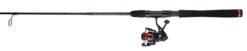 Penn Fierce III Spinning Combos -Fishing Promotion Store penn fierce iii spinning combos 68348.1651244456
