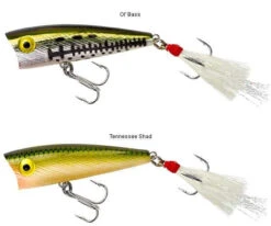 Rebel P50 Teeny Pop-R 2in -Fishing Promotion Store rebel p50 teeny pop r 2in 18331.1651013318