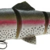 Savage Gear 3D Line Thru Trout 1 Savage Gear 3D Line Thru Trout -Fishing Promotion Store savage gear 3d line thru trout lures 46551.1651163324