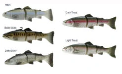 Savage Gear 3D Line Thru Trout -Fishing Promotion Store savage gear 3d line thru trout lures 63560.1651163325