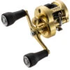 Shimano Calcutta Conquest MD Baitcasting Reels -Fishing Promotion Store shimano calcutta conquest md baitcasting reels 10126.1674255439