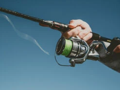 Shimano Stradic FL Spinning Reels -Fishing Promotion Store shimano stradic fl spinning reels 61058.1651246852