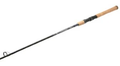 Shimano 2022 Teramar Southeast Spinning Rods -Fishing Promotion Store shimano teramar southeast spinning rods 41378.1666620526