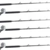 Shimano Talica TAC20BFC / TackleDirect Platinum Hook White Marlin Package W/ 6 Combos -Fishing Promotion Store tackledirect tdps662040sin shimano tac20bfc white marlin package 11366.1651325952.386.513